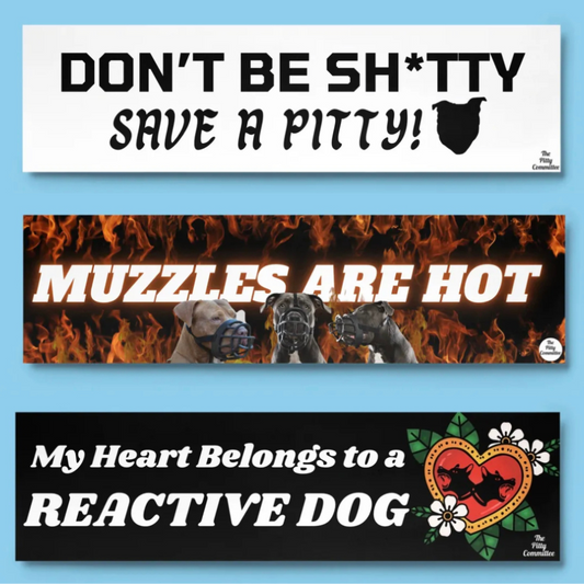 'The Pitty Committee' Bumper Sticker