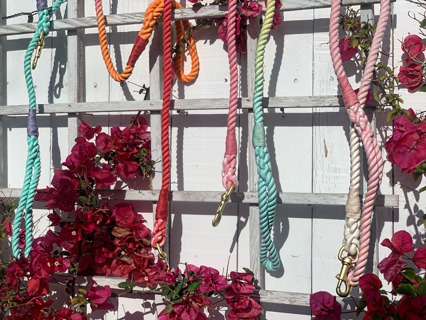 Cotton Rope Dog Leash