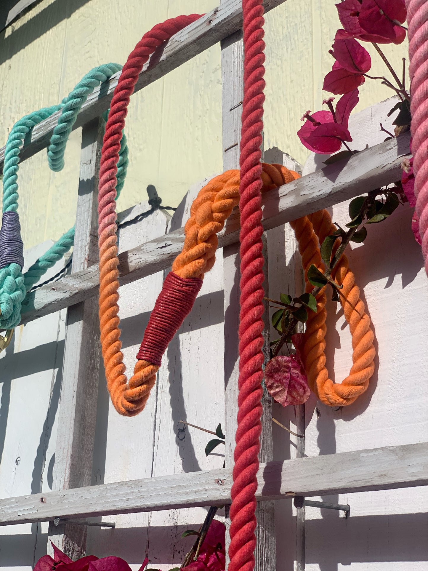 Cotton Rope Dog Leash
