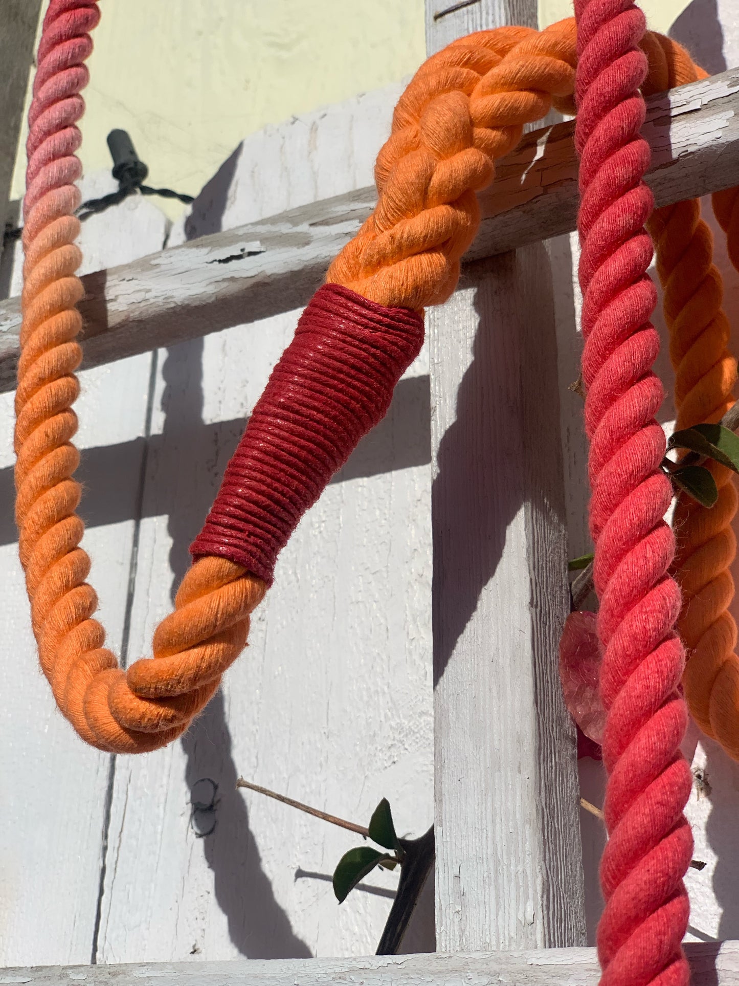 Cotton Rope Dog Leash