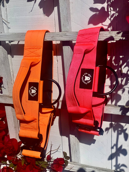 2" Extra Tuff Big Dawg™ Collars