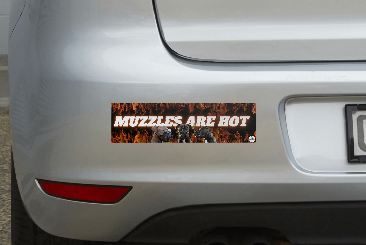 'The Pitty Committee' Bumper Sticker