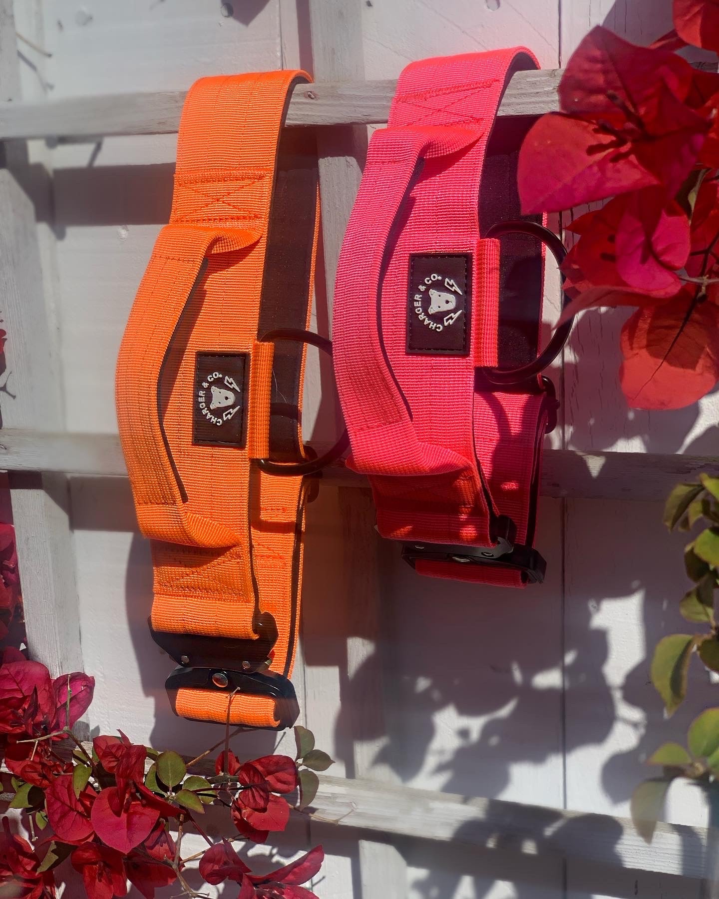 2" Extra Tuff Big Dawg™ Collars