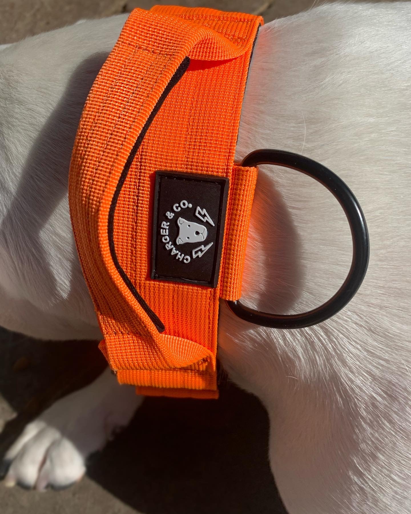 2" Extra Tuff Big Dawg™ Collars