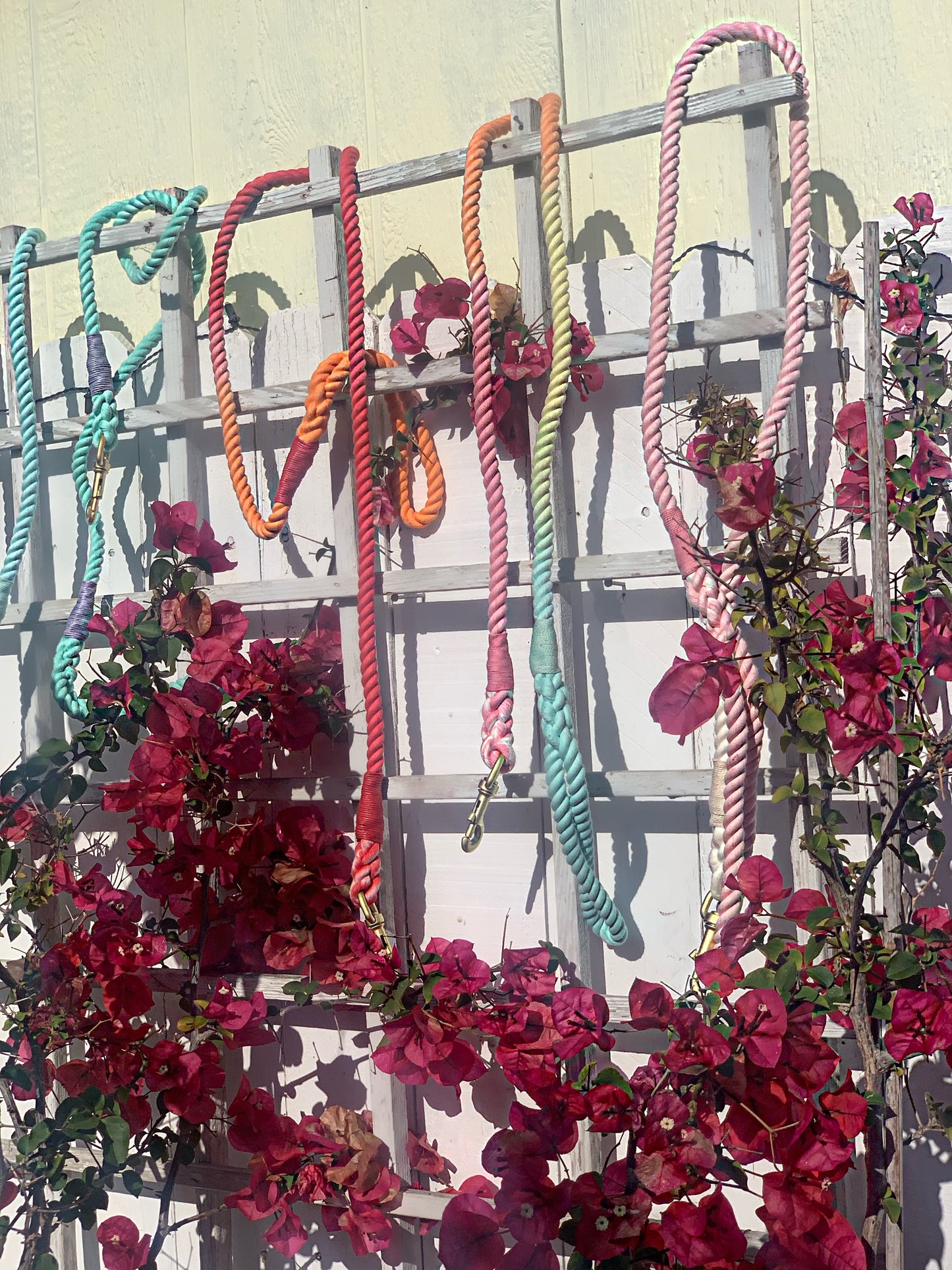 Cotton Rope Dog Leash