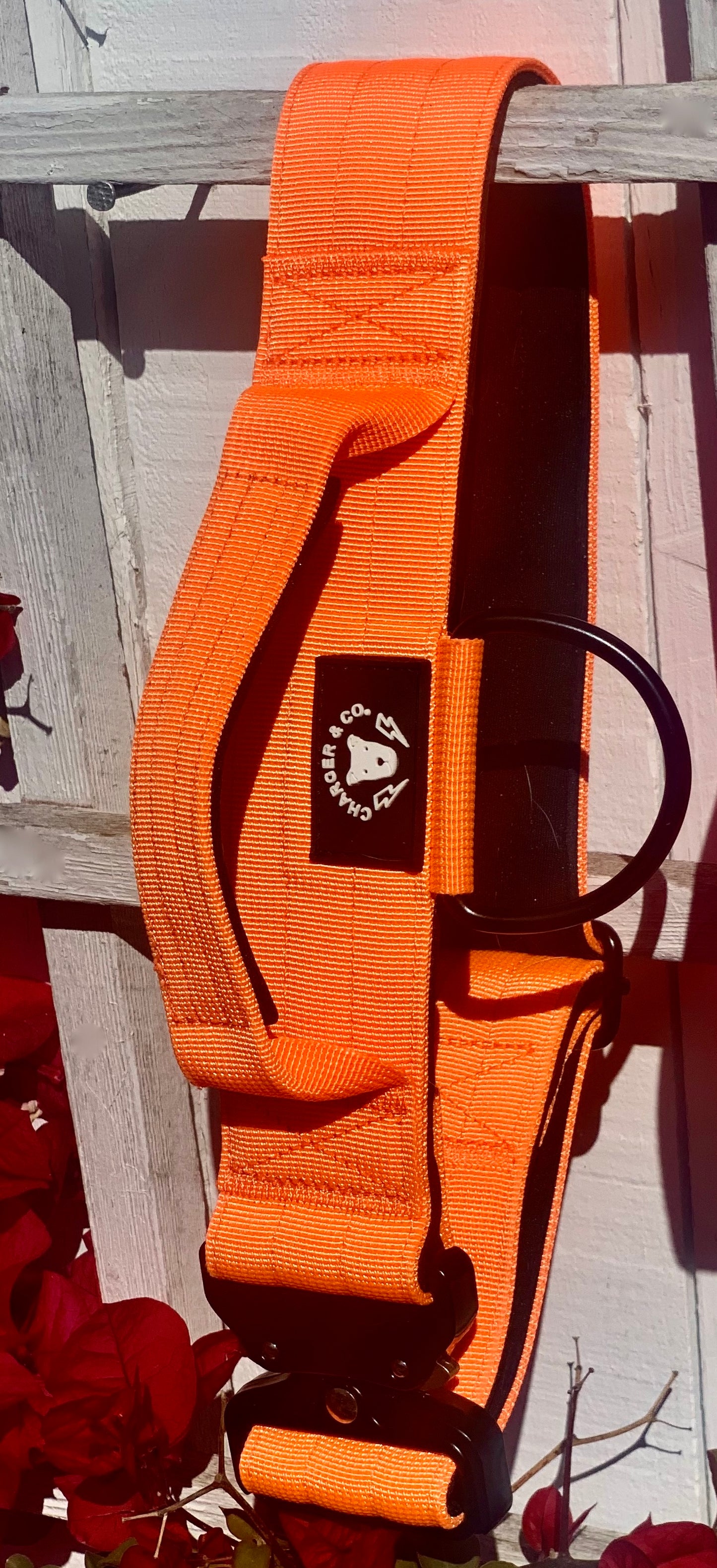 2" Extra Tuff Big Dawg™ Collars