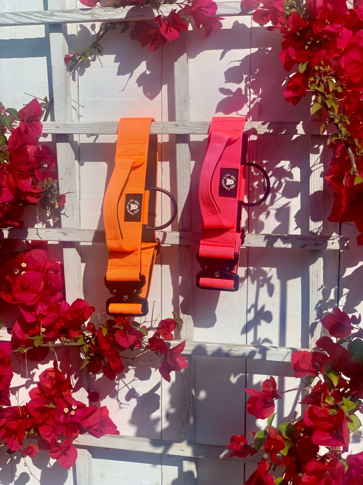 2" Extra Tuff Big Dawg™ Collars