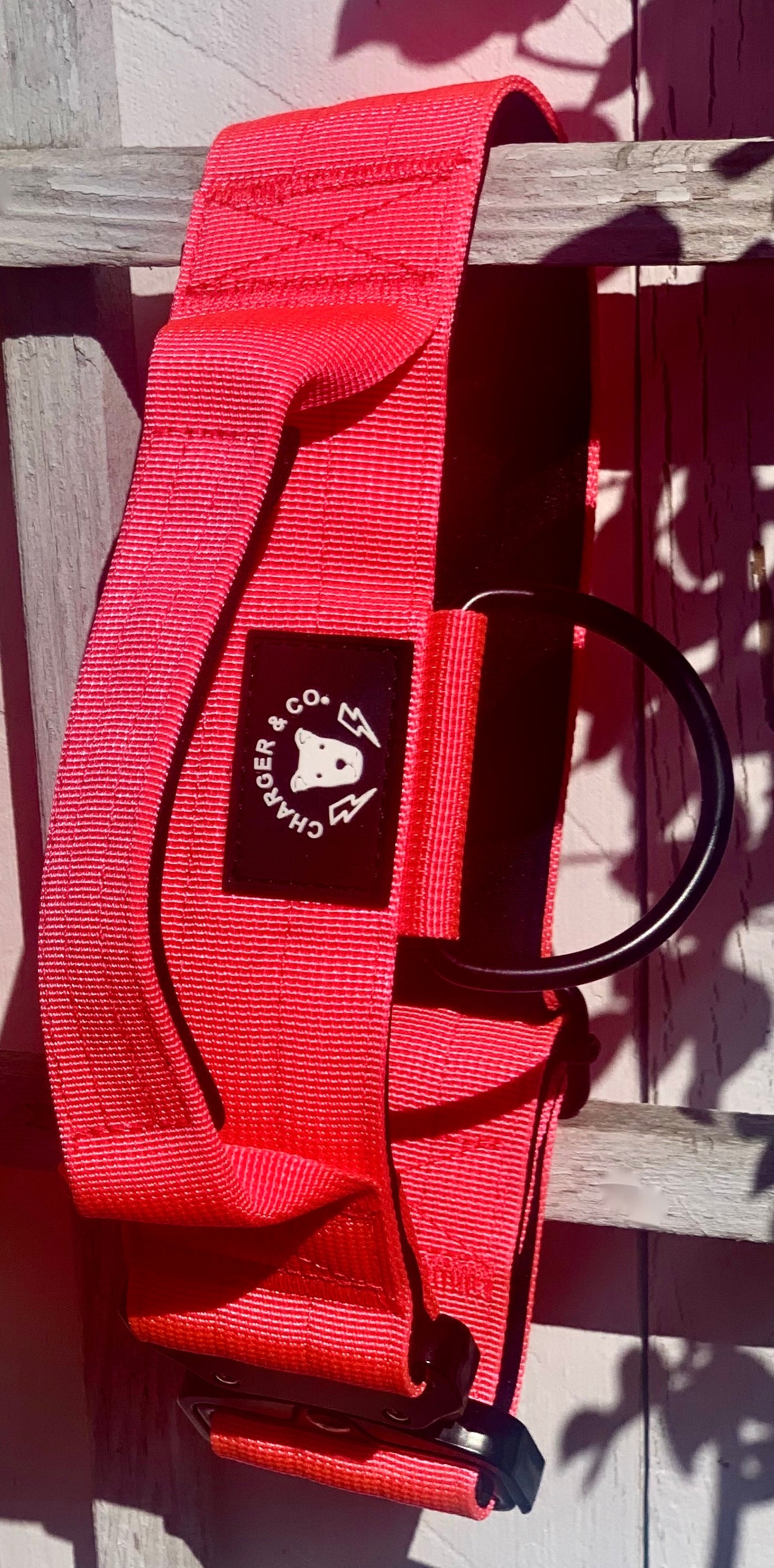 2" Extra Tuff Big Dawg™ Collars