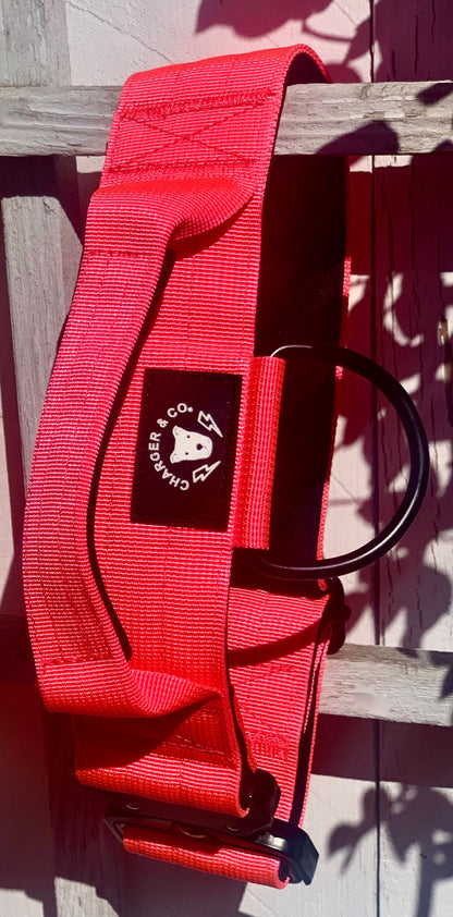 2" Extra Tuff Big Dawg™ Collars