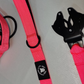 Extra Tuff Big Dawg ™ Leashes