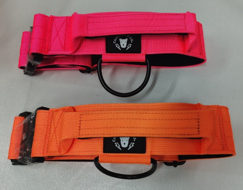 2" Extra Tuff Big Dawg™ Collars